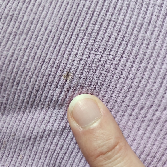 Tea Collection Shorts - Picture 3 of 3